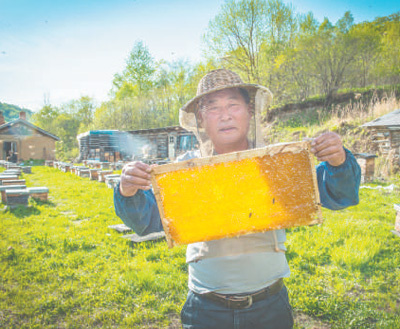 京东—北纯黑龙江饶河县黑蜂养殖合作社的蜂农在劳作。 　　资料图片